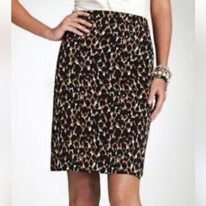 Ann Taylor Skirt